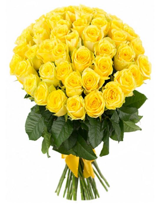 Роза желтая