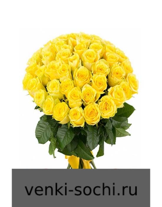 Роза желтая