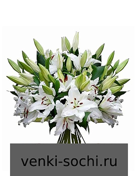 Лилия белая, 50