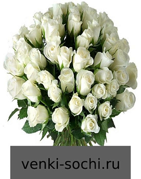 Роза белая, 100