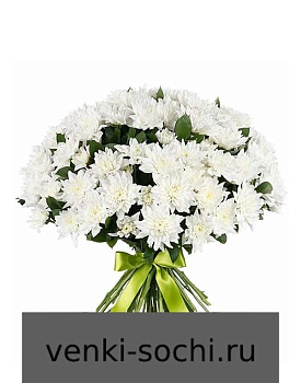 Хризантема кустовая, 50