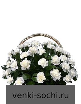 Корзина из живых цветов КН23, гвоздики 150 шт