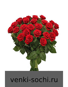 Роза красная, 100